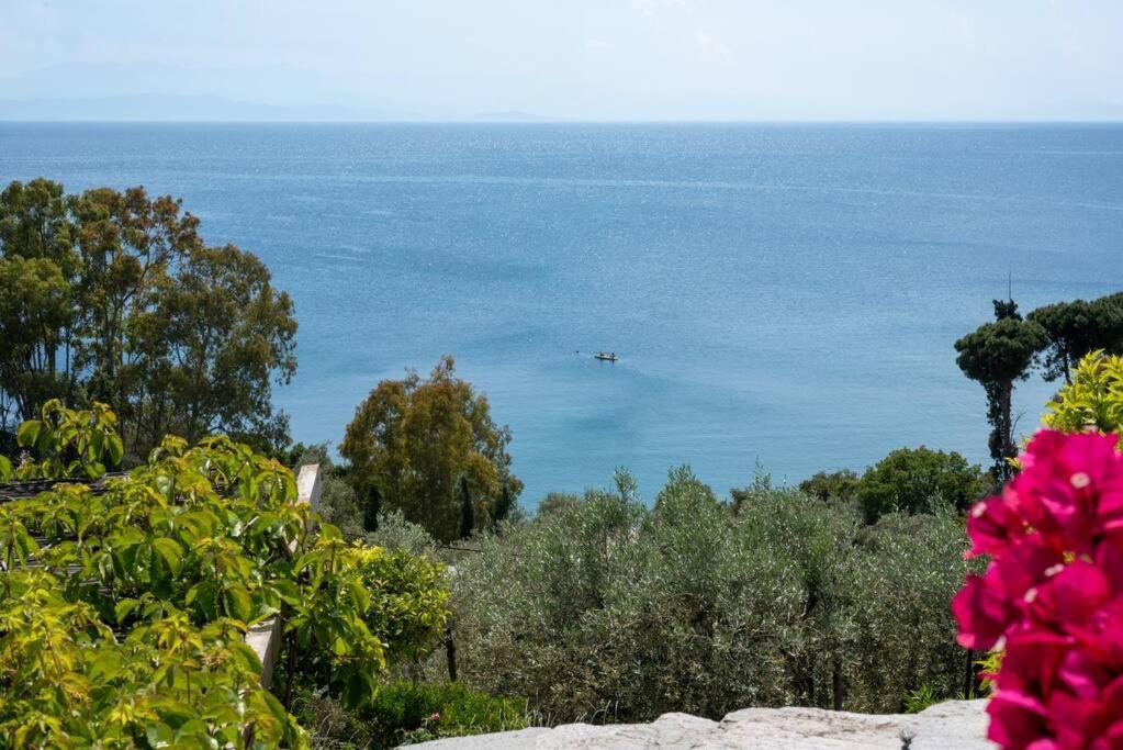 Seaside House With View Over Pagasitikos Афисос Екстериор снимка