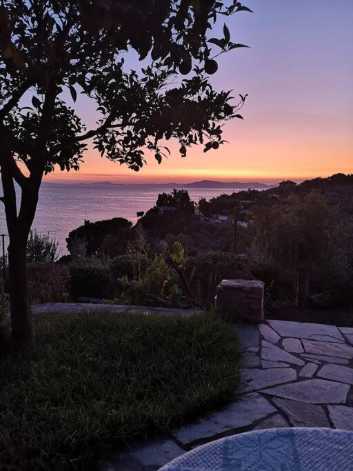 Seaside House With View Over Pagasitikos Афисос Екстериор снимка